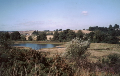 The Quarry Site from the Hamilton position on Pace Hill